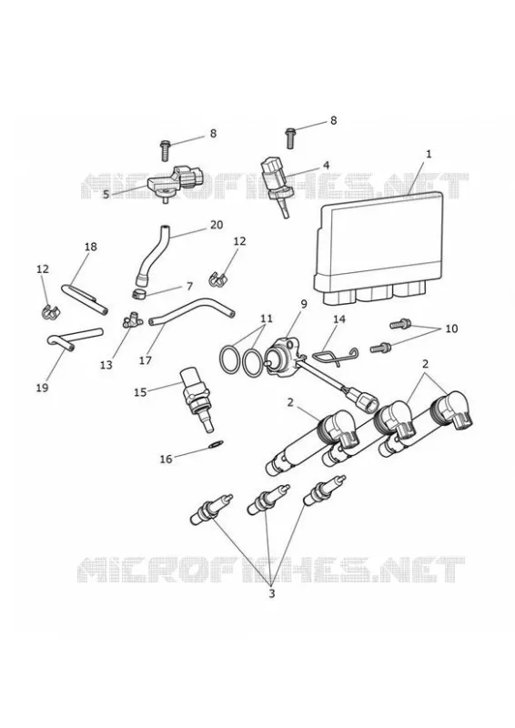 SYSTEME DE GESTION MOTEUR Triumph MOTO Tiger 900 Tiger 900 Rally  Tiger 900 Rally