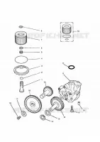 CARTER MOTEUR / COUVERCLES ET SYSTÈME DE LUBRIFICATION  Daytona triumph-moto Daytona-others DAYTONA 750 & 1000 30734937