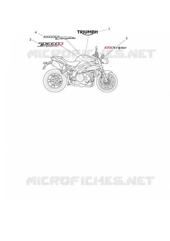 AUTOCOLLANTS Triumph MOTO Speed Speed-Triple SPEED TRIPLE R  SPEED TRIPLE R