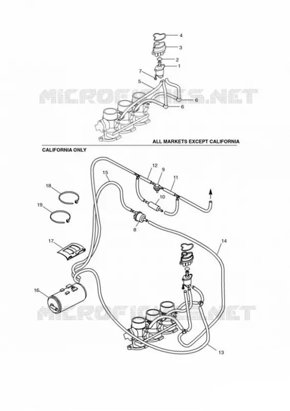 EVAPORATIVE LOSS EQUIPMENT Triumph MOTO Sprint Sprint-RS SPRINT RS  SPRINT RS