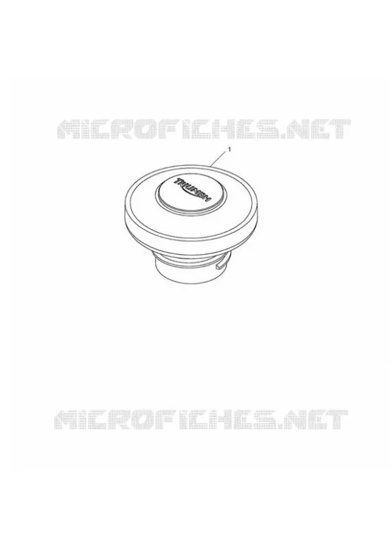BOUCHON DE RESERVOIR A CLE Triumph MOTO Thruxton Air-Cooled Thruxton Carburetor  Thruxton Carburetor